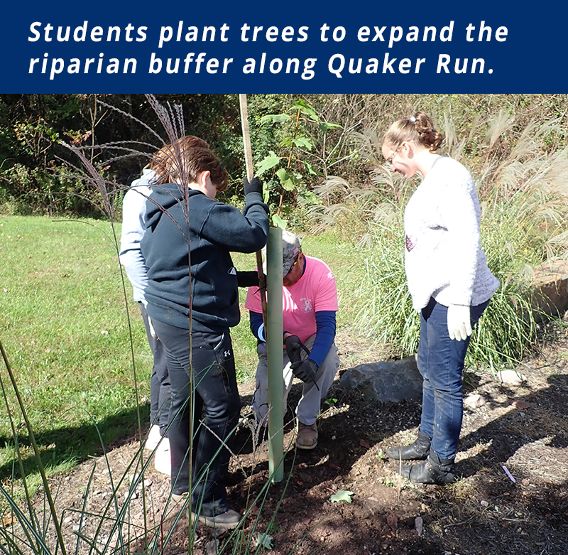 Students plant trees to expand a riparian buffer 