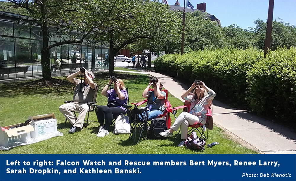 Falcon Watch and Rescue volunteers
