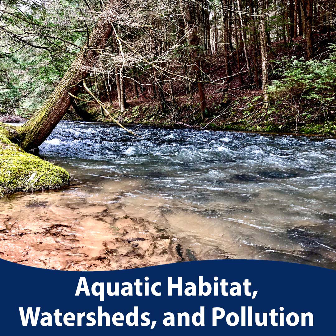 Aquatic Habitat, Watersheds, Pollution portal images showing a clear stream with the portal name on blue at the bottom in white 
