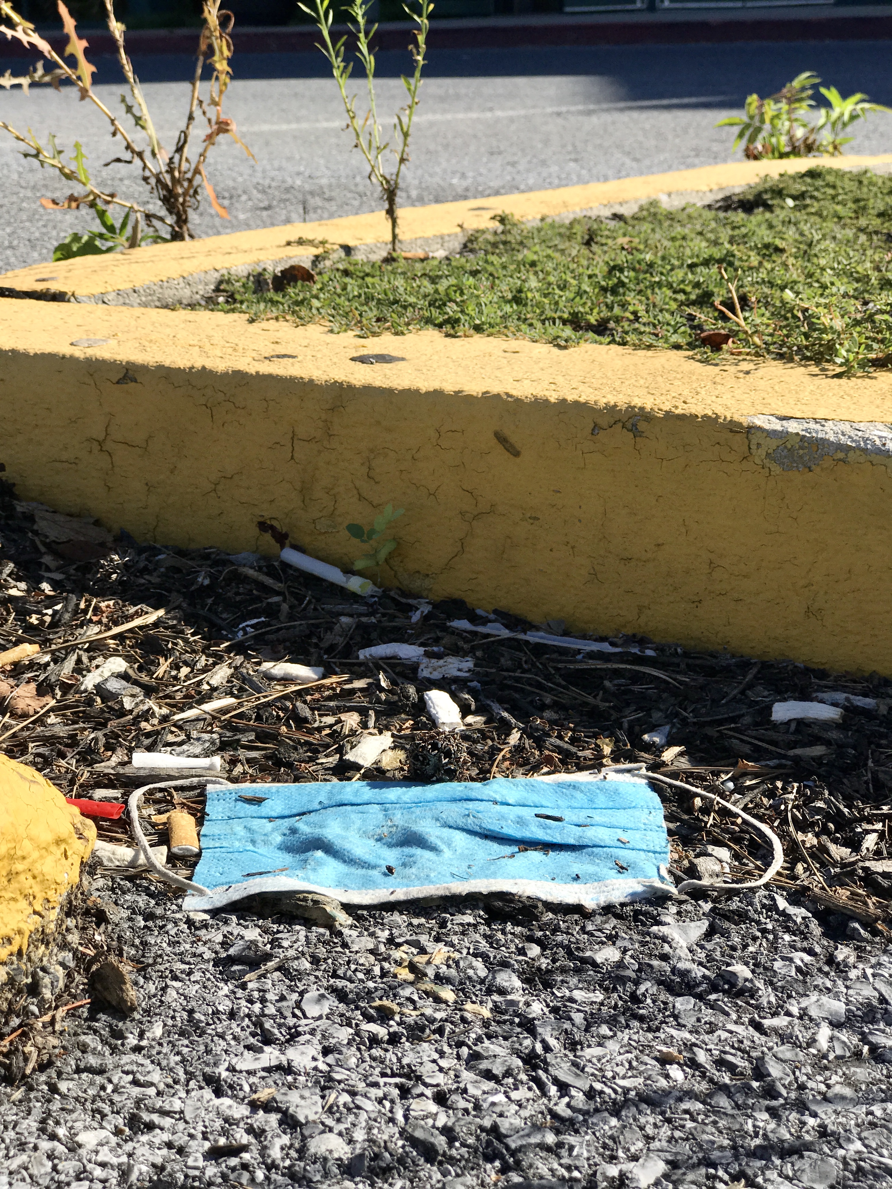A mask and cigarette butt litter in the street.jpg