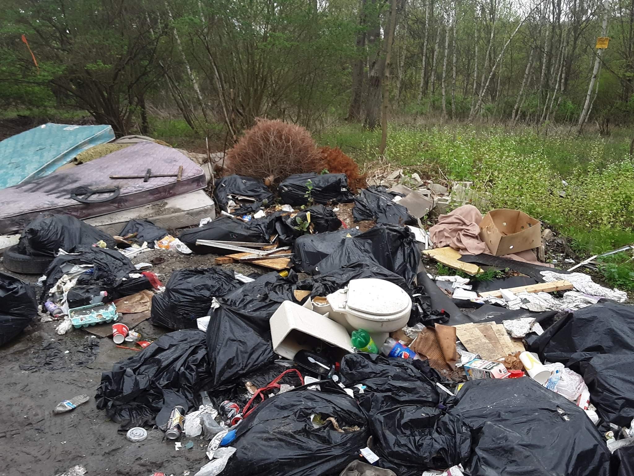 Trash at an illegal dump site in PA