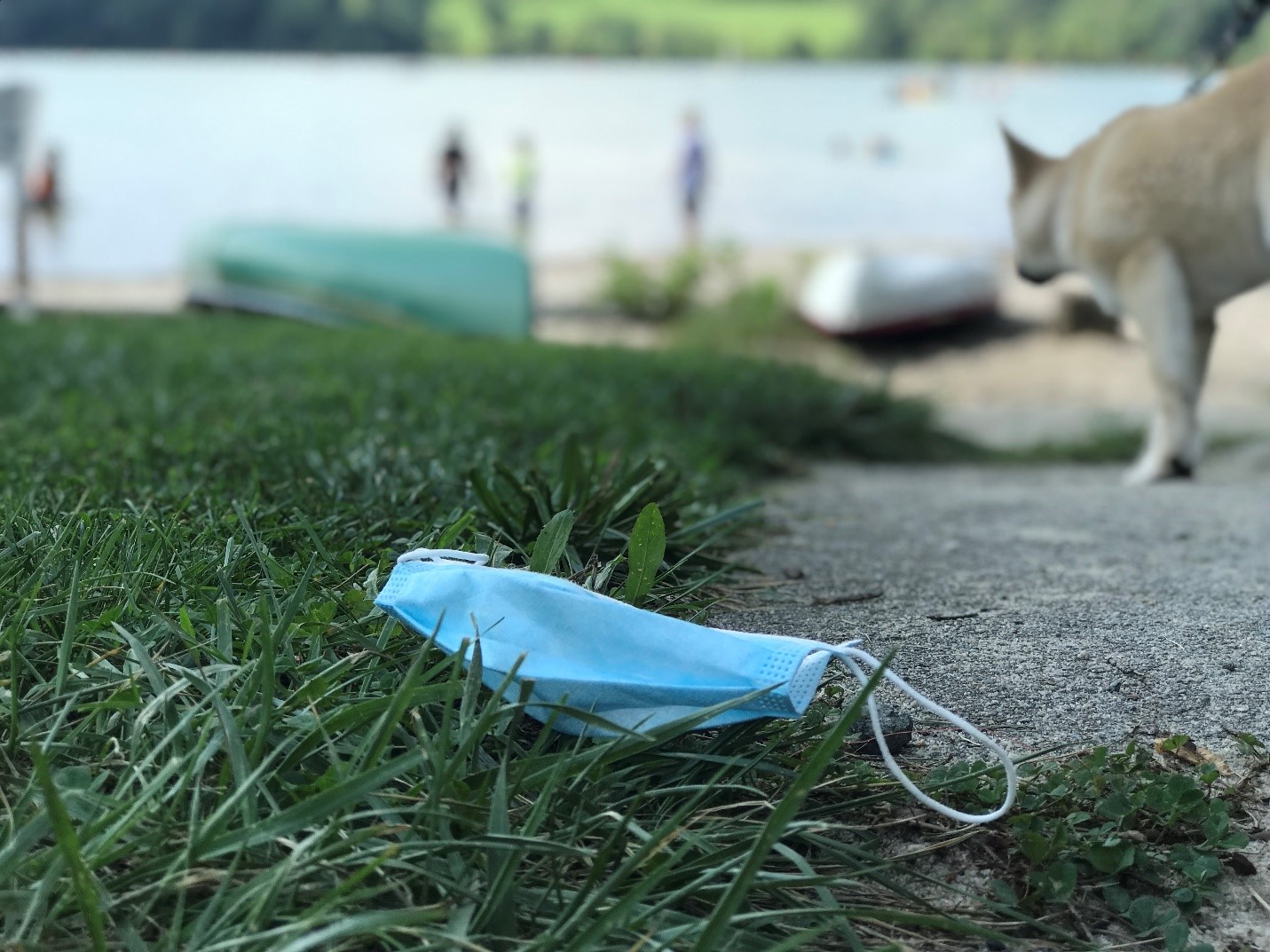 A mask on the ground by a lake