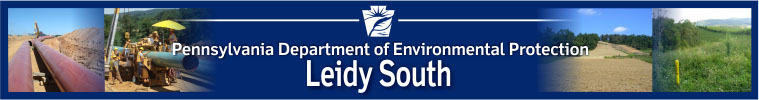 Leidy South Banner