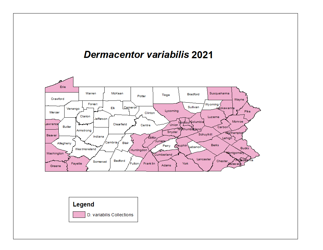 Map showing distribution of American Dog Tick in PA