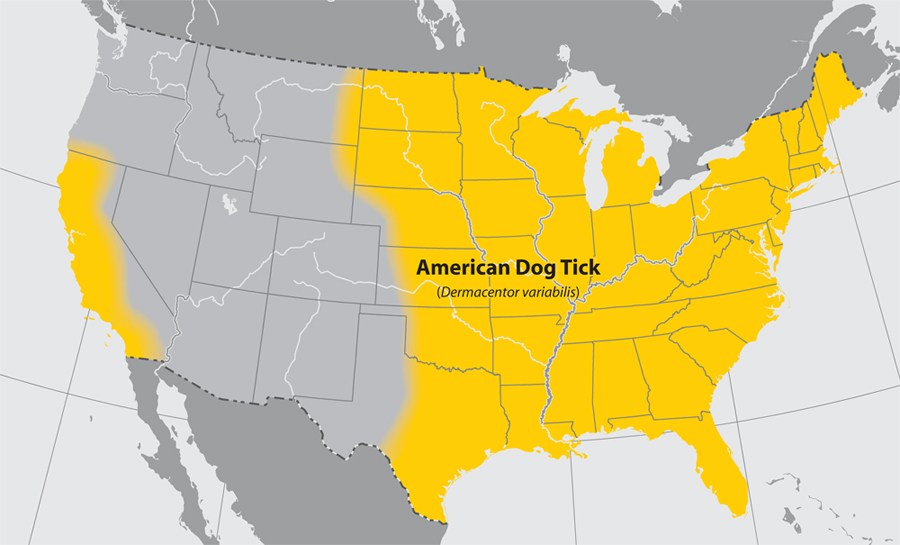 Map of US showing locations of American Dog tick
