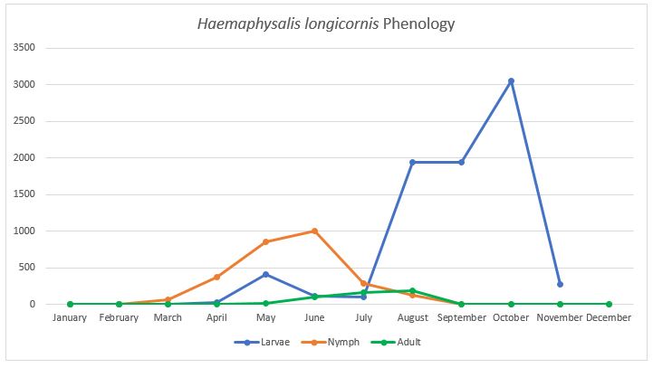 Graph showing peak activity periods of Asian Longhorned tick life stages