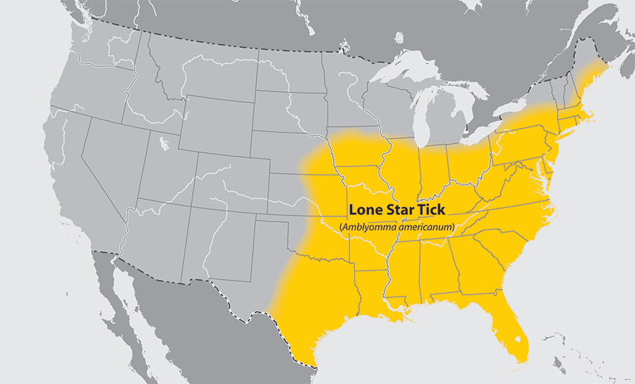 A map of the US showing locations where Lone Star ticks are found
