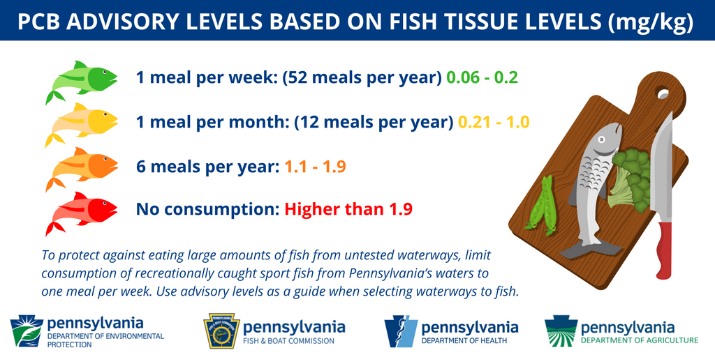 Fda Fish Consumption Chart