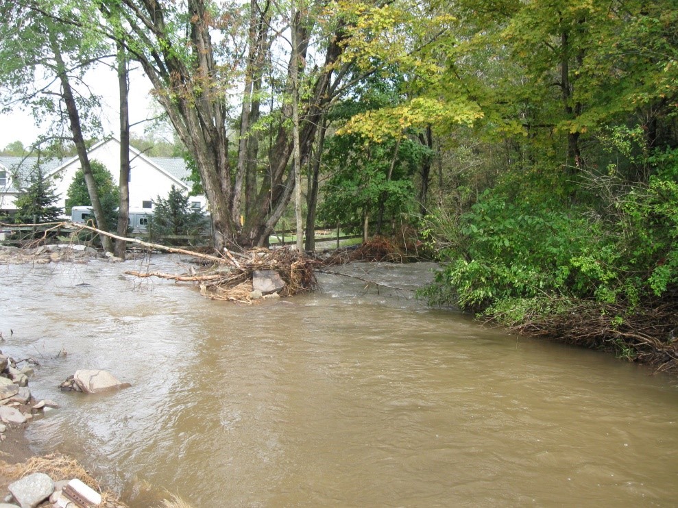   Image shows a stream with a high water level