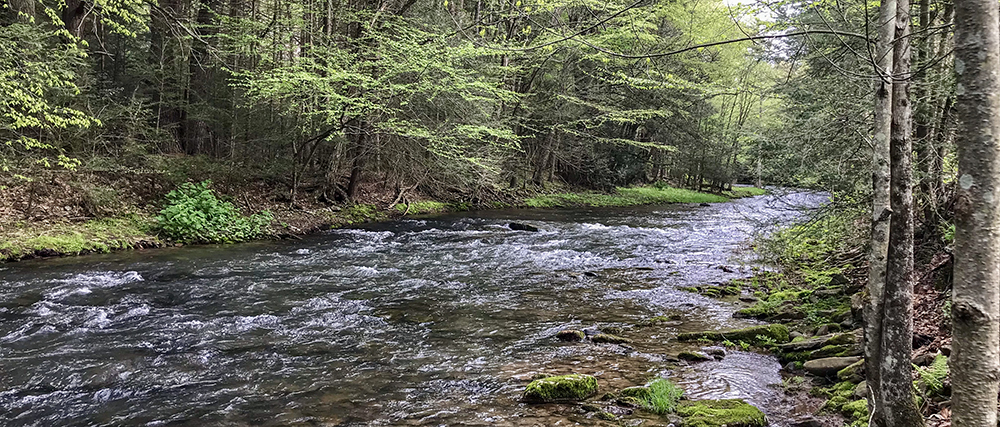 A clean stream in PA