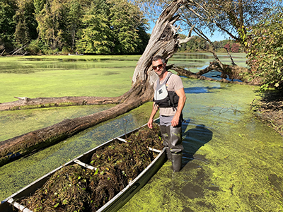 Volunteers work to remove invasive European frog-bit from Pymatuning Reservoir