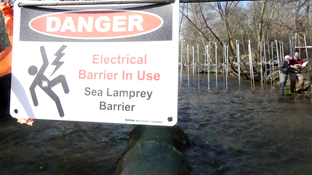A "Danger: Electrical Barrier in Use" sign is seen in front of the sea lamprey barrier.