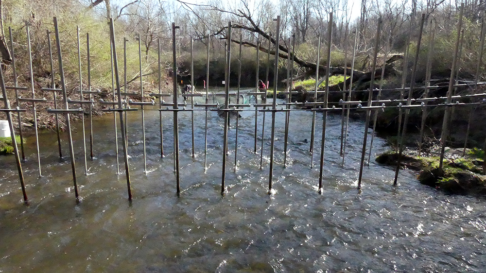 A series of electrical rods stand tall together in the water to form a sea lamprey barrier.