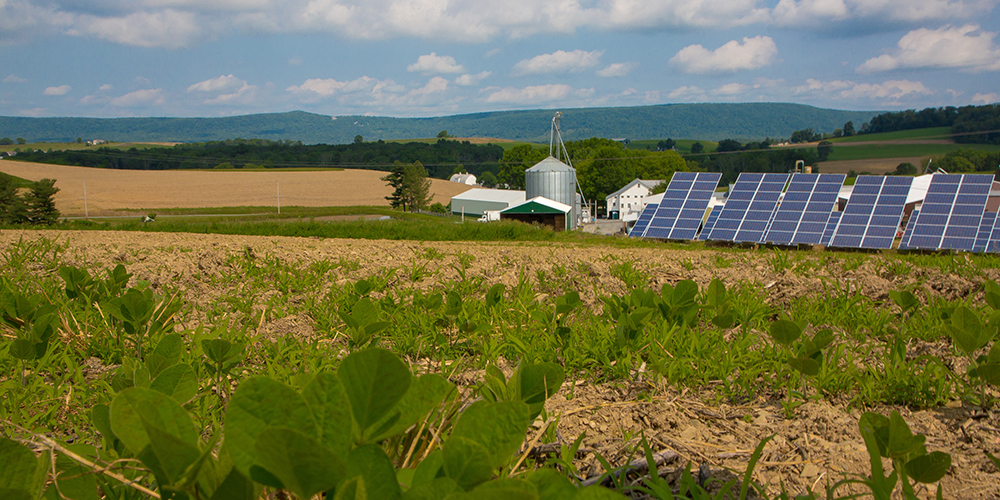 Solar panels on a farm in Pennsylvania.jpg