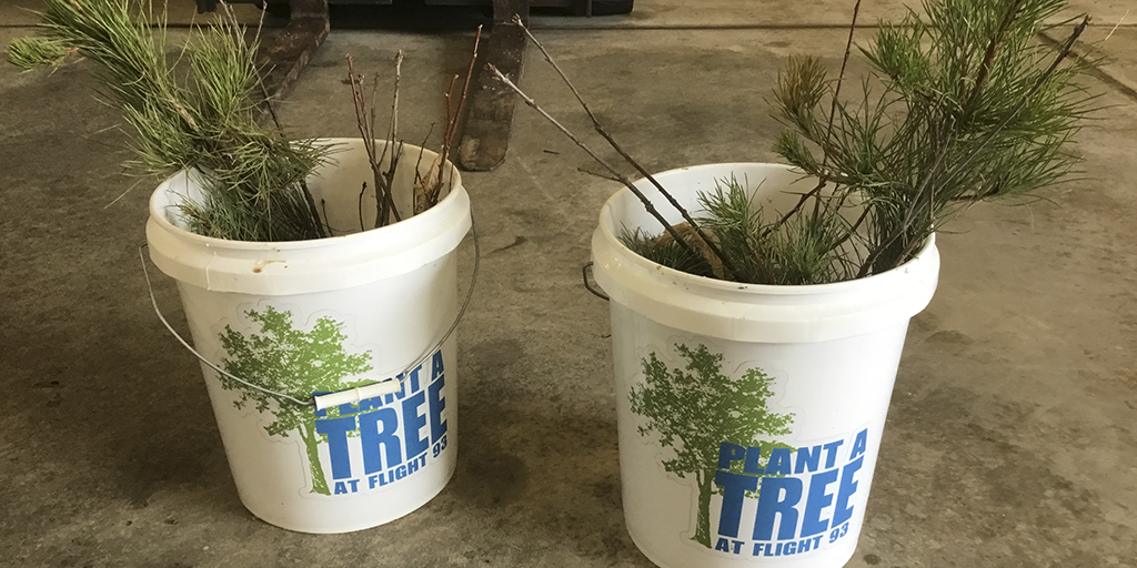Trees in buckets ready for planting at Flight 93 National Memorial