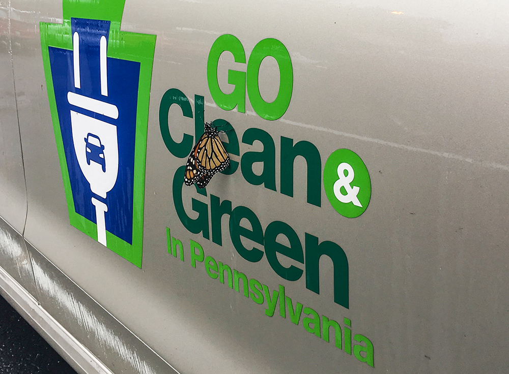 Close up of a commonwealth electric vehicle with a monarch butterfly that landed on the EV logo