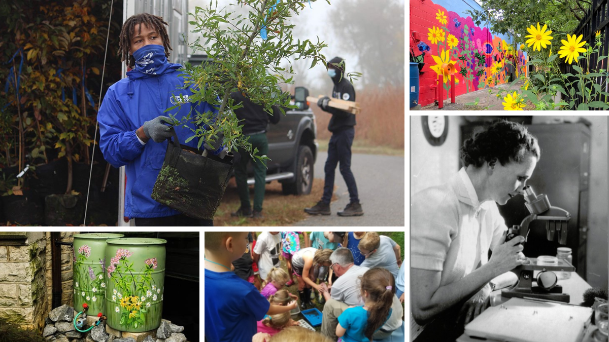 Planting trees, rain barrels, environmental learning, and Rachel Carson