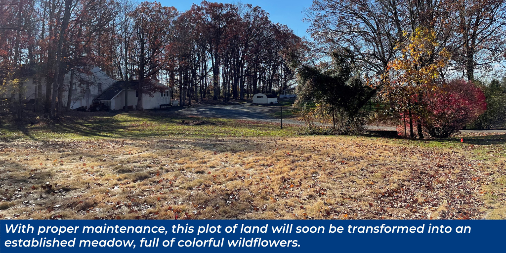 With proper maintenance, this plot of land will soon be transformed into an established meadow, full of colorful wildflowers